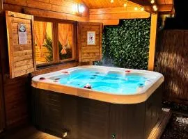 Rustic Western Ranch House with private garden and jacuzzi between Amsterdam Haarlem and Schiphol Airport
