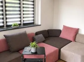 Le BelvedErde Appartement 2,5 moderne tout équipé