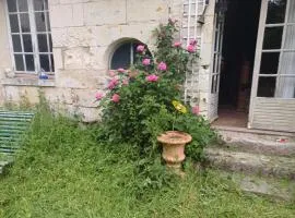 Chambres sur une ile de la Loire