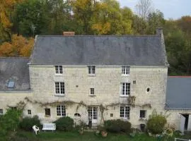Chambres sur une ile de la Loire