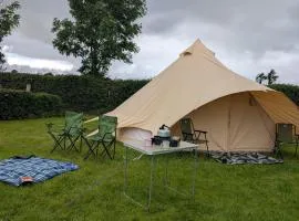 Hal`s at Killynick