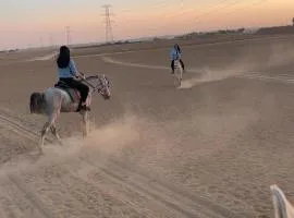 شاليهات ذهب
