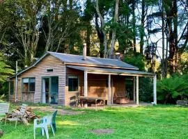 Cabin in the Forest, Cosy Couples retreat