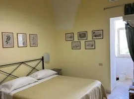 Anfiteatro apartment