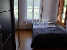 del giovane