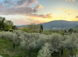 Oasi della Calvana