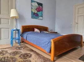 Lilac Stove Apartment in Historic Center