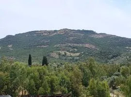 Casa Vacanza Iris