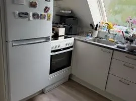 Quiet Apartment in Horsens