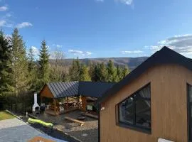 Apartamenty GREEN PLACE Wetlina