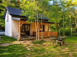 Leśna Osada Wieliszew, hotell i Wieliszew