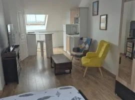 STUDIO COZY 20m2