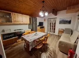 Apartment Pineta Alben 2