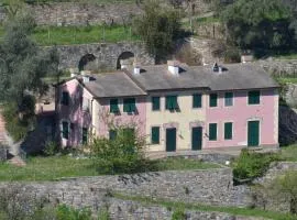 Villa Olivari apartments and garden