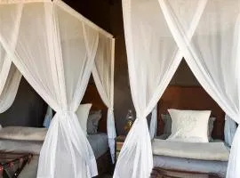 Karoo 62 Escape - Luxury Bush Lodge