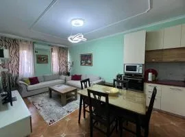 Big Cozy Apartment in the Heart of the City
