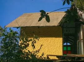 Manigua Andina