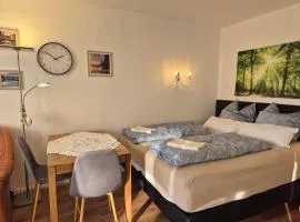 Ferienwohnung NaturBlick am Rothaarsteig mit Terrasse & gratis PKW Parkplatz & Highspeed Internet Flatrate & XXL Boxspringbett in Brilon 10 Minuten bis Willingen Ideal für Touristen und Geschäftsleute mit MWSt-Rechnung