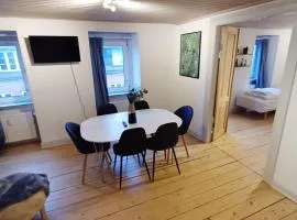 Comfortable apartment for 7 Free parking