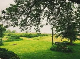 Orchard Haven
