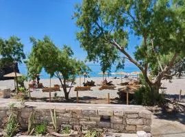 Beachfront Retreat SPILIES