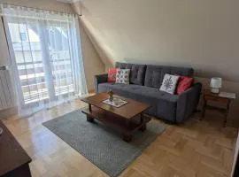 Apartament Sokola Skała
