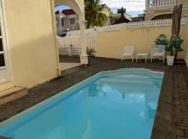Maison du bonheur SILVER PALM