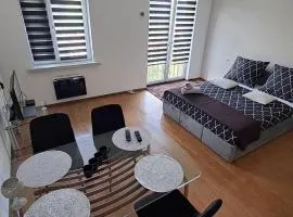 Apartament Aura Palenicy