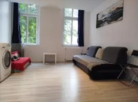 Grudziadz City Center A2-Apartamenty 54m WiFi