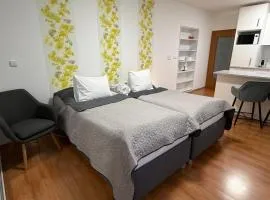 Apartment Komin