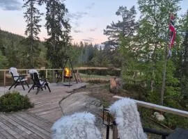 Hytte med stor terasse i flotte naturomgivelser