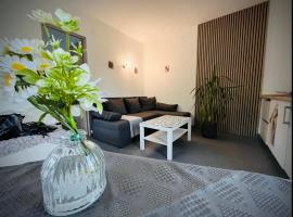 Mozaik Apartman, hotel v destinaci Kalocsa