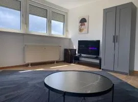 Stefans Apartments C - 20 min bis DD Messe und Flughafen inkl Parkplatz