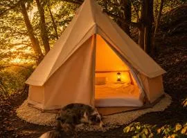 Tipi Nature a l'Ombre des Tilleuls à Vialas en Cévennes - Animaux ferme