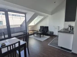 Small Attic Apartment with Terrace in the City Center