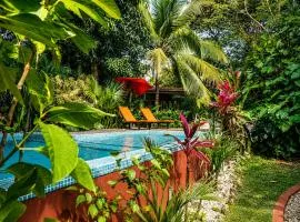 Casa Mapache
