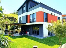 VillaZ Villa Ardeşen