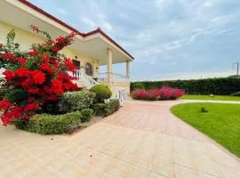 The Greek Mama's Cottage