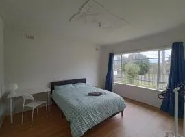 Spacious Queen Room in Newly Renovated Home - SA1