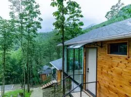 Dujiangyan Lucky Wild Mountain Forest Luxury Homestay