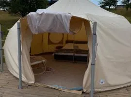 Glamp Shepit