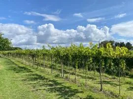 Talian Charm At Vineyard Near Karrebæksminde
