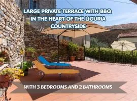 Relax tra gli ulivi con spazio esterno e barbecue