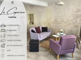 Maison avec terrasse proche château de Loches