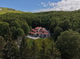 Hotel Ivanov Konak, hotel u Cetinju