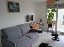 Appartement lumineux centre-ville - 2 pers. - FR-1-319-642
