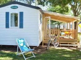 Mobil home avec terrasse - 8 pers. - API-1-52-2811
