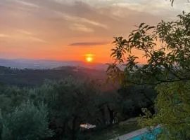 Collazzone - "Il Tramonto" casale con piscina