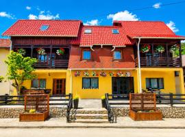 Casa Sandu-Sadova, Hotel in Sadová