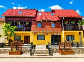 Casa Sandu-Sadova